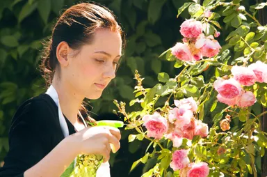 ガーデニングイメージ