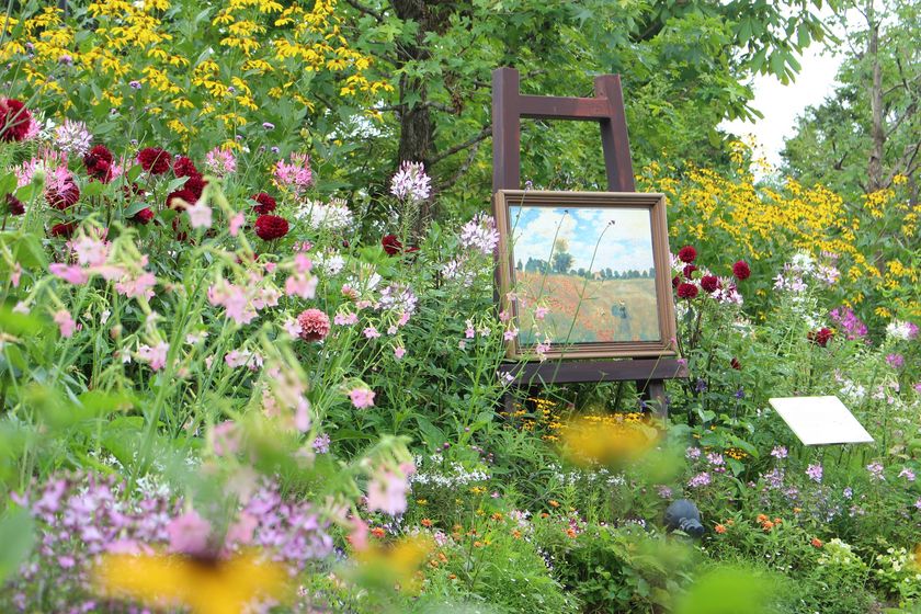 比叡山頂の庭園美術館　～ガーデンミュージアム比叡～
7月17日（土）より営業を再開いたしました