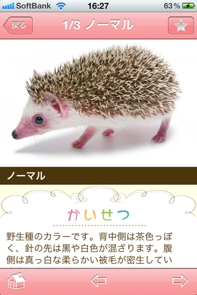 【小動物解説画面】