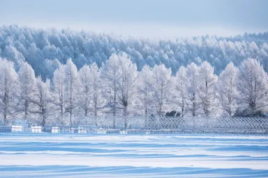 新蔵からの風景
