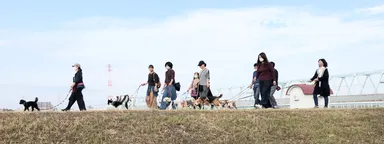 パックウォーク