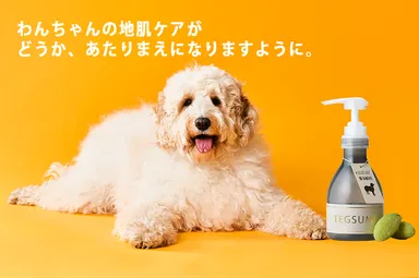 TEGSUMI SILKCARE SHAMPOO