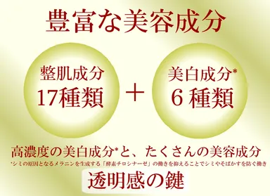 豊富な美容成分