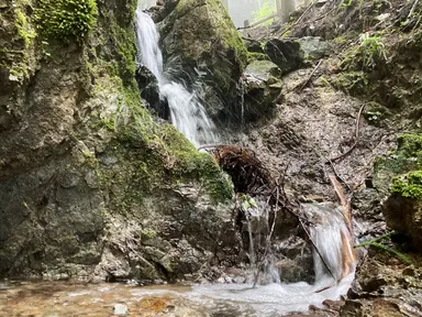 ＃The outdoor rice 水源(3)