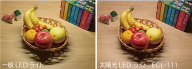 一般LEDライトと太陽光スペクトルLEDライト