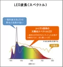 太陽光スペクトルLEDライトとは