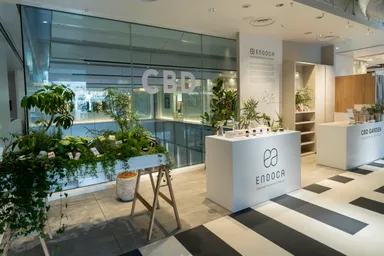 ENDOCAポップアップ全景