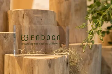 ENDOCAサイン