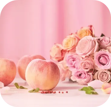 フルーティミント　イメージ画像