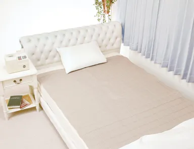 アクトピアイメージ