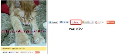 「Pin it」ボタン