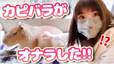 動画サムネイル