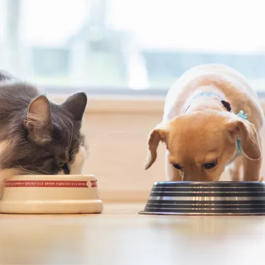 美味しさそのままペットも大喜び