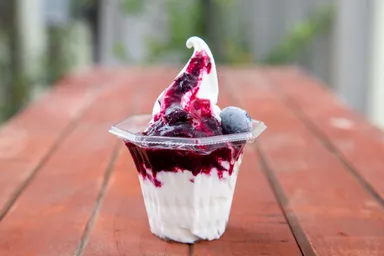 ブルーベリーソフト