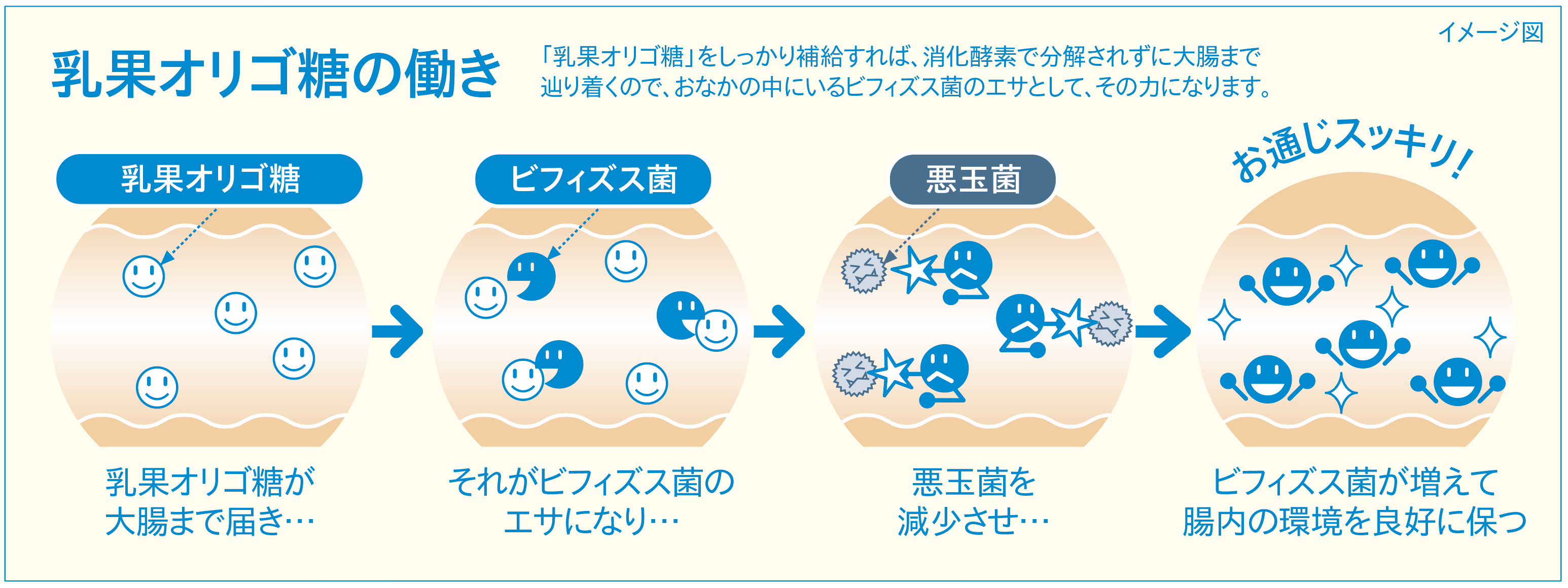 90.6%※1が続けたいと回答したトクホの飲料。1日1本！おなかの新習慣。2味を追加して新発売！オリゴワン(R) パインヨーグルト味オリゴワン(R)  イチゴヨーグルト味2021年8月24日（火）新発売｜株式会社ハーバー研究所のプレスリリース