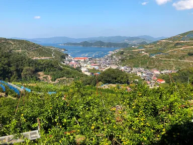ゲストの農業研修生が研修を行っている川上地区の園地