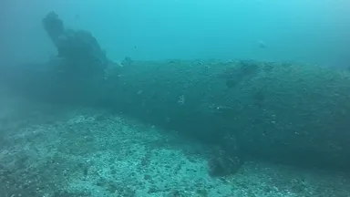 海底に眠る海龍