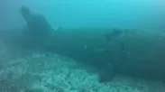 海底に眠る海龍