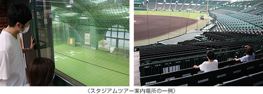 甲子園歴史館休館中も「阪神甲子園球場スタジアムツアー」開催します
（開催期間：9月7日（火）～10月3日（日））