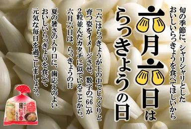 らっきょうの日