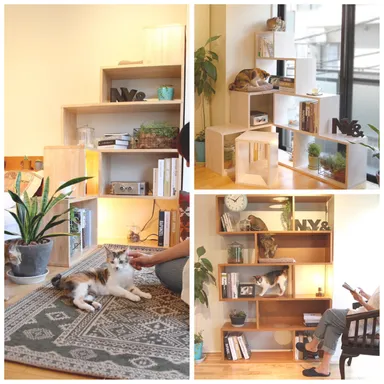 前作　NY& SHELFシリーズ1　キャットタワーにもなる本棚、飾り棚