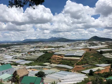 ダラット高原のグリーンハウス