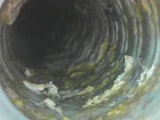 パイプ内汚れ：Before