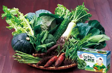 厳選された野菜