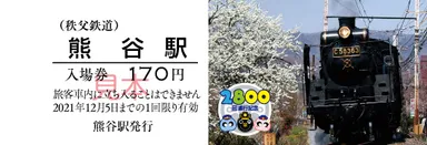 記念入場券(表)　イメージ