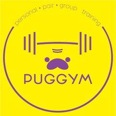 有限会社グレース