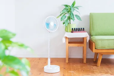 リビング扇風機