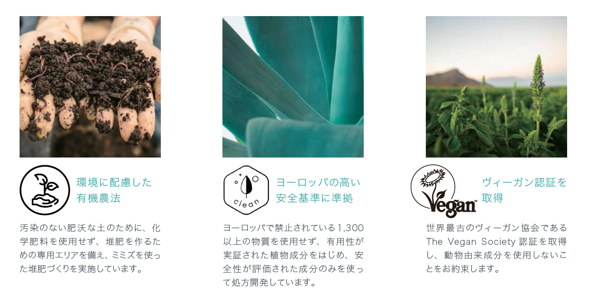 ARTISTRY(TM)が刷新 植物の生命力で美肌を科学する 新ブランド「ARTISTRY SKIN NUTRITION(TM)」から「アーティストリー  スキン NT(TM)」2021年8月24日(火)発売｜日本アムウェイ合同会社のプレスリリース