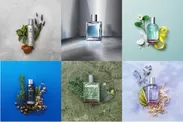 Fragrance_group