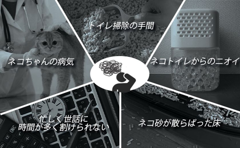 全自動猫トイレ Coscat のクラウドファンディングを開始 株式会社boisunsのプレスリリース 全自動猫トイレ Coscat のクラウドファンディングを開始 株式会社boisunsのプレスリリース