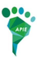 APIE合同会社のロゴ