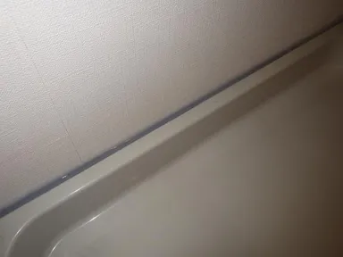 洗濯防水パンのゴキブリ侵入対策