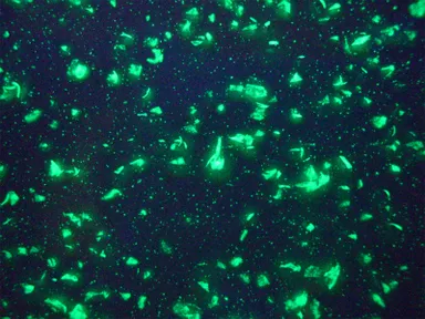 アクリル樹脂に0.3％配合