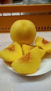 黄金桃・川中島白桃・洋梨(オーロラ)