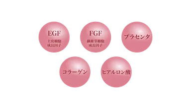 Wの幹細胞の働きで活性化