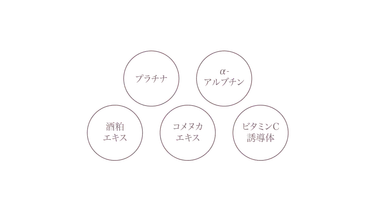 相乗効果を高める様々な美容成分を配合