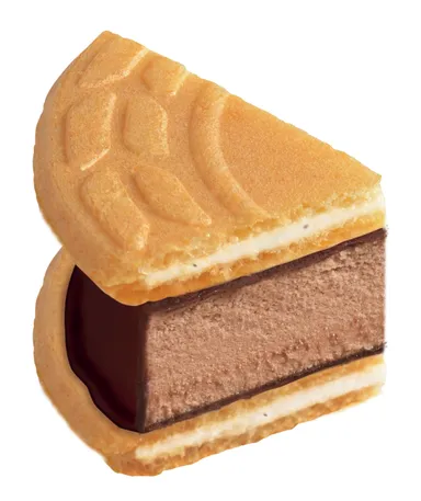 ロアンヌアイスチョコレート生地(2)