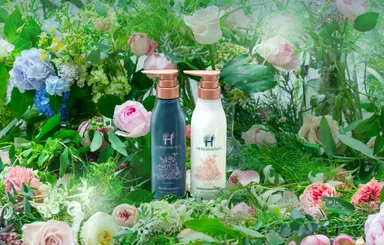 ハーバニエンス シャンプー・コンディショナー　グリーンローズ