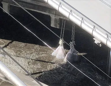 エンザイム汚泥削減システム