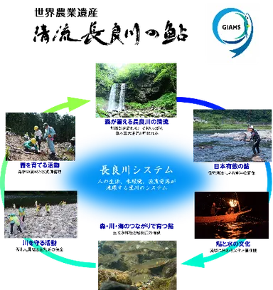 長良川システム