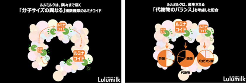 ルミナコイド健康食品 『Lulumilk(ルルミルク)』がうんち記録アプリ「ウンログ」にて、おすすめ腸 活商品として紹介！｜株式会社スマート・ラボのプレスリリース