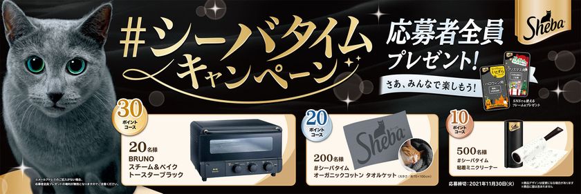 シーバ(R)を買って応募すると720名に素敵な賞品が当たる
「#シーバタイム キャンペーン」実施！