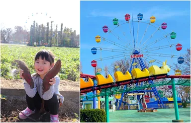 むさしの村の秋と言えば「さつまいも掘り」