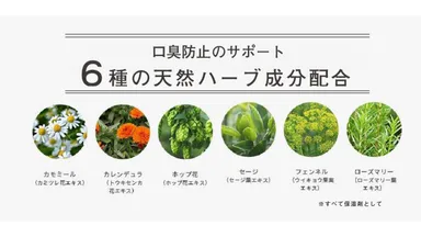 POINT05. 口臭防止サポート成分