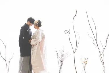 シンプルな光壁も