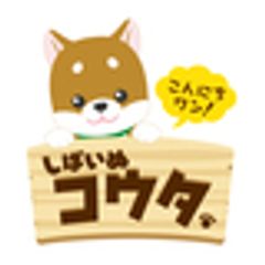 キャッスルエンタープライズ株式会社のロゴ